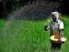 Zuari Agro Chem sells Goa fertilizer plant to Paradeep Phosphates for $280 million