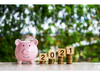 Plan your Investment in 2021: 5 must-haves for new investors