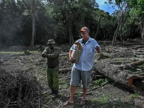 Helping hand