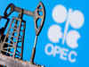 OPEC oil output falls in February on Saudi additional cut: Survey
