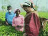 Watch: Priyanka Gandhi Vadra plucks tea leaves at Sadhuru tea garden in Assam