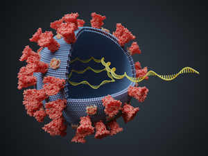 The researchers said this may allow that variant of the virus to more easily slip past our immune systems.