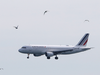 ‘Rowdy' Indian passenger forces Air France flight to make emergency landing in Bulgaria