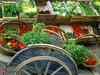 Govt says private companies developed 38 farm markets in last 3 years