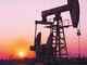 Selan Exploration plans JV with US firm for shale oil biz: Sources