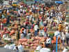 NCML surpasses over 10,000 tonne auction quantity under Surakshit Mandi