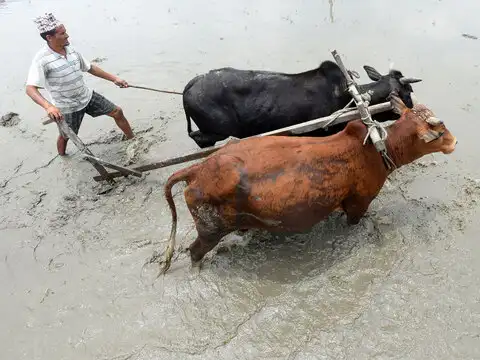 Similar situation