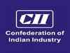 Need to limit, streamline independent directors' liability: CII to govt