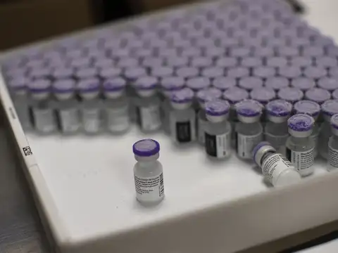 Antibodies