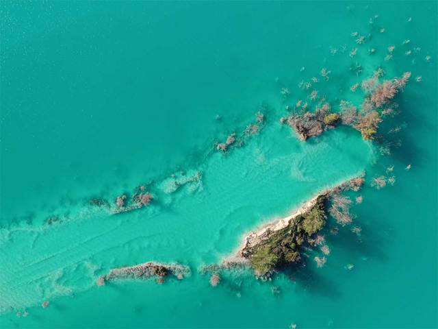 Rotten trees in a toxic lake in Turkey