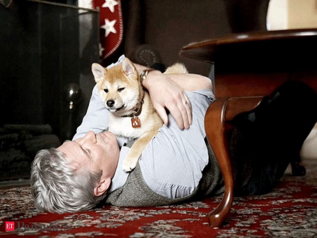 Richard Gere S Hachi A Dog S Tale Is Getting A Chinese Remake The Economic Times