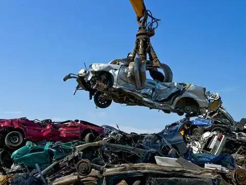 ​Genuine vehicles only