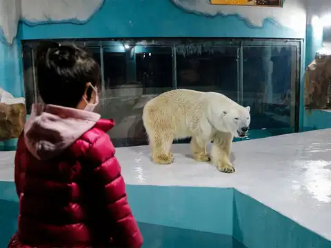 Belonging to the Arctic