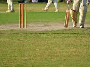 Cricket---Getty