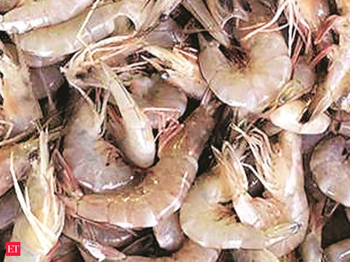 Aquaconnect Partners With Alliance Insurance Brokers For An Insurance Programme For Shrimp Farmers The Economic Times