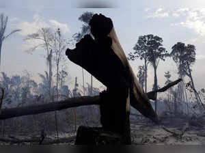 FILE PHOTO: A burning tract of the Amazon forest as it is cleared by farmers, in Rio Pardo