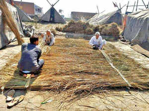 bamboo huts farmer protest bcc