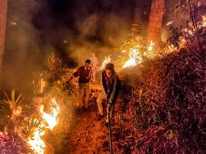 Try artificial rain to douse wildfires: Court to Uttarakhand