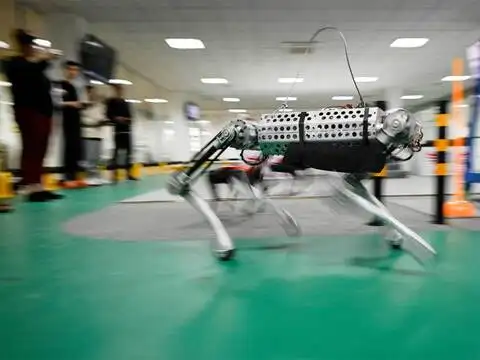 ​What to expect from next generation AlphaDog