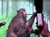 Elon Musk's Neuralink shows monkey with brain-chip playing videogame by thinking