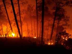 U'khand forest fire