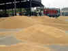 Wheat procurement in full swing, Ludhiana farmers praise Punjab govt