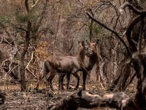 ​Haven for wildlife