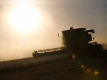 A combine harvester used to harvest soybeans is seen in a farm near Pergamino, on the outskirts of Buenos Aires during the spread of the coronavirus disease (COVID-19) in Argentina