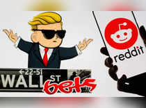 FILE PHOTO: The Reddit logo is seen on a smartphone in front of a displayed Wall Street Bets logo in this illustration