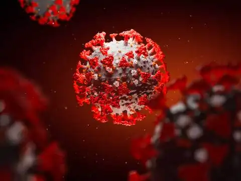 ​Hit by the coronavirus
