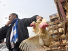 Covid induced weekend lockdowns hit poultry industry