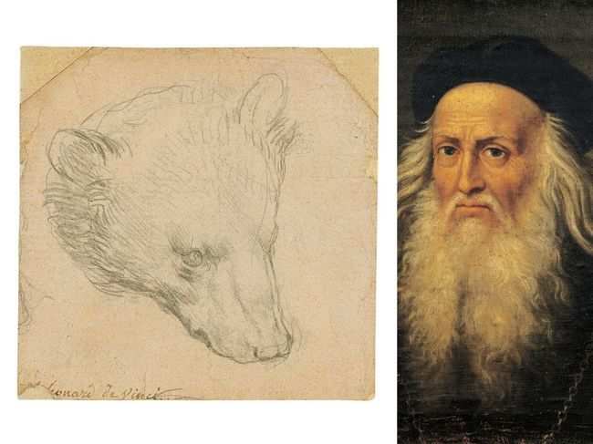 The ​current owner has had Leonardo da Vinci​'s 'Head of a Bear'​ since 2008​.