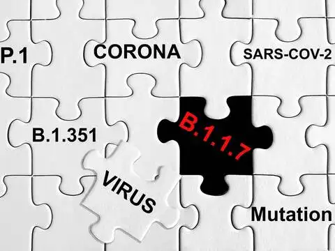 ​Strains currently predominant in India