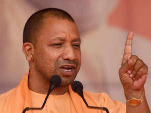 Yogi---bccl