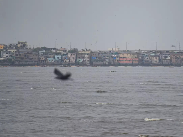 Cyclone Tauktae LIVE Updates: Cyclone Tauktae likely to intensify overnight, says IMD, and reach Gujarat's coast on May 18