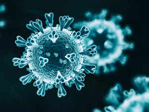 coronavirus in Andhra Pradesh