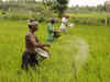 Govt considering subsidy to offset rise in global prices of P&K fertilisers' raw material