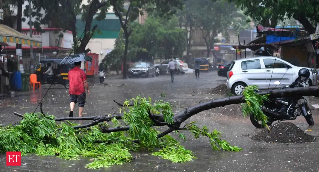 Tauktae: Raigad receives 23.42 mm rains, 839 homes damaged - Vimarsana News
