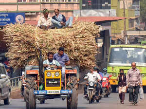 Farmers carry fodder on a tractor in Hubballi