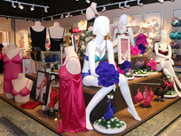 
As Indian lingerie brands struggle against international biggies, Enamor attempts to hold fort

