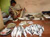 Incident of floating bodies in Ganga River hampers fish sales in Patna