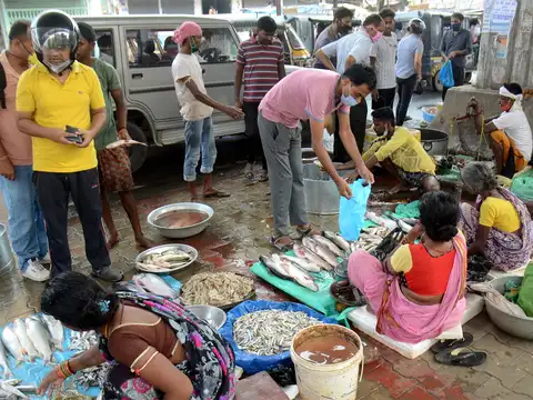 Preferring small fishes