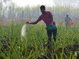 Govt hikes subsidy on DAP fertiliser by 140%; farmers to get DAP at old rates