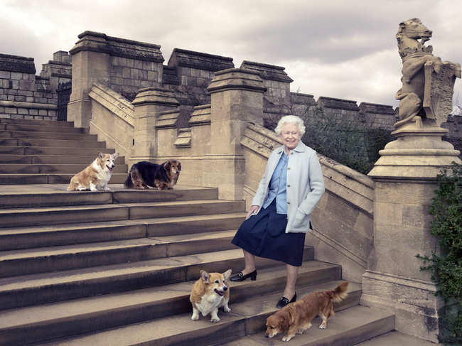 In this ​handout official photograph provided by Buckingham Palace on April 20, 2016,​ to mark her 90th birthday, Queen Elizabeth II poses in the private grounds of Windsor Castle on the steps at the rear of the East Terrace and East Garden with four of her dogs: clockwise from top left Willow (corgi), Vulcan (dorgie), Candy (dorgie) and Holly (corgi).
