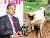 Anand Mahindra draws similarities between elephant rescue video and India's Covid crisis, Twitter agrees