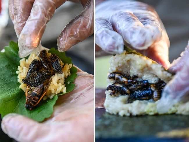 Fried cicadas are rolled into a sushi roll by Chef Bun Lai.