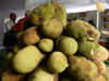 India exports jackfruit products to Germany from Bengaluru, says commerce ministry