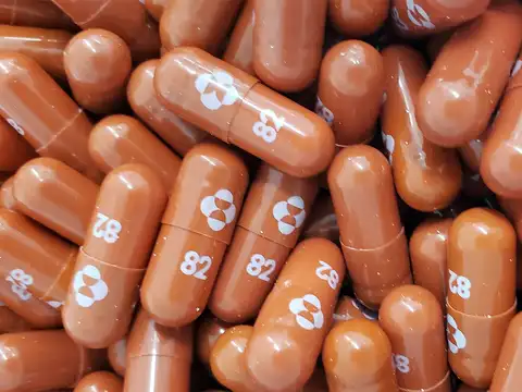 Merck-Ridgeback