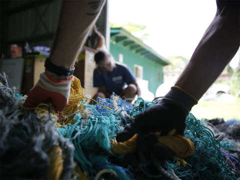 Bio-based and biodegradable nets could be the solution to 'ghost nets'  jeopardizing sea life