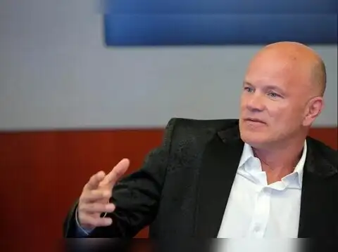 Michael Novogratz: Waiting for the revolution
